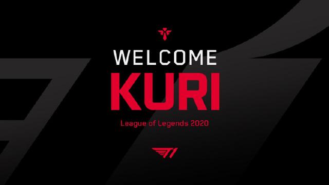 的情感经历 的情感经历