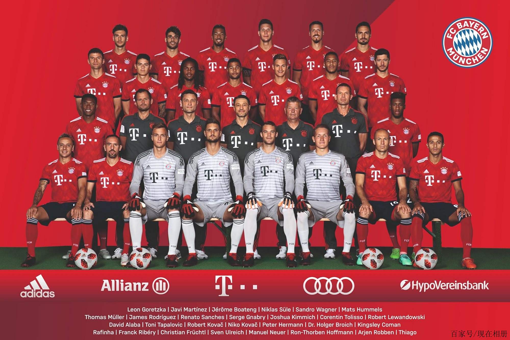 忠诚度似乎 忠诚度似乎