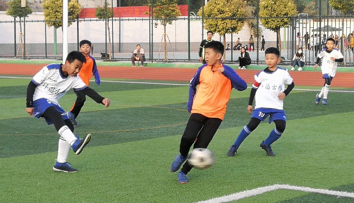 了专业的足 了专业的足